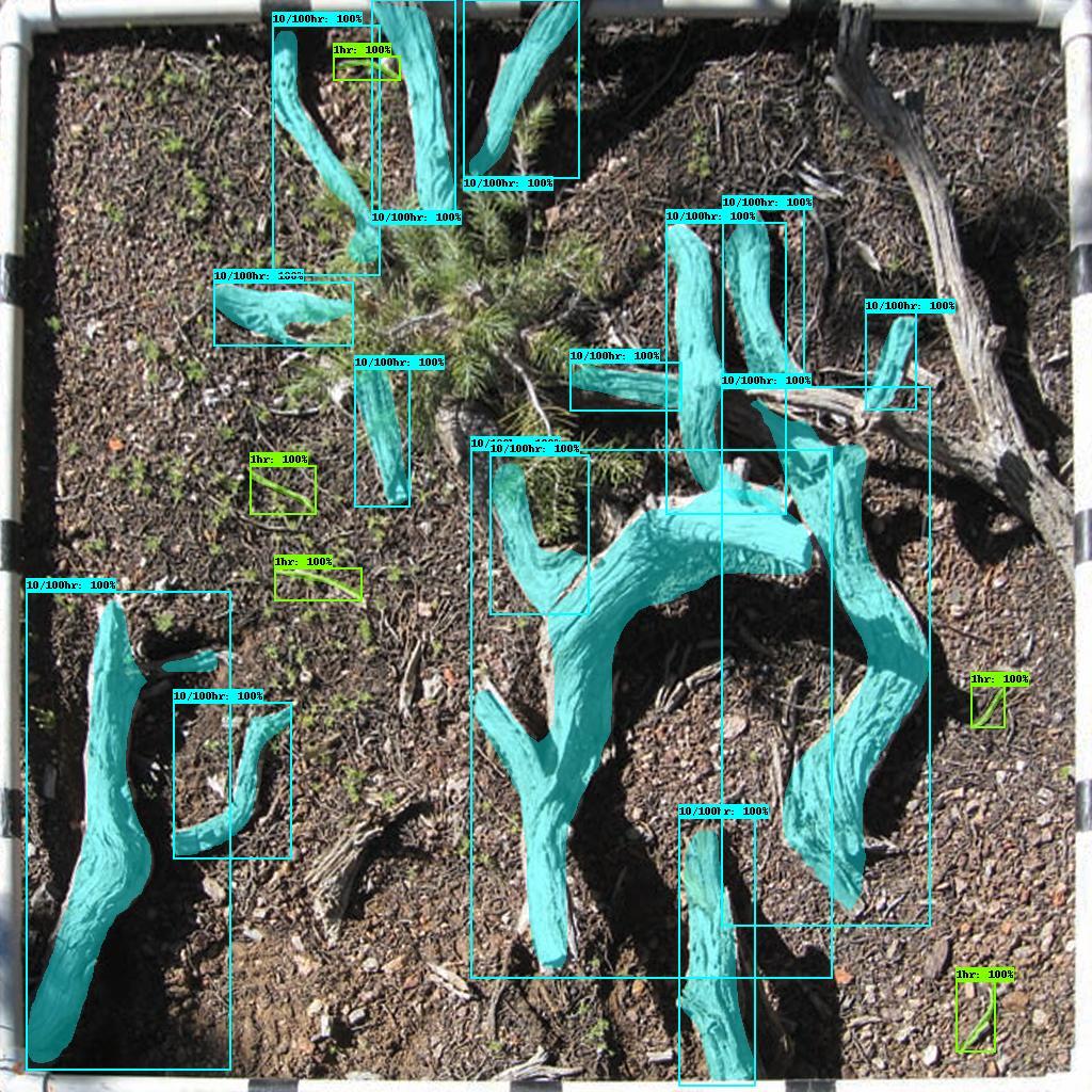 Forest floor with sticks and debris highlighted by a computer vision model.